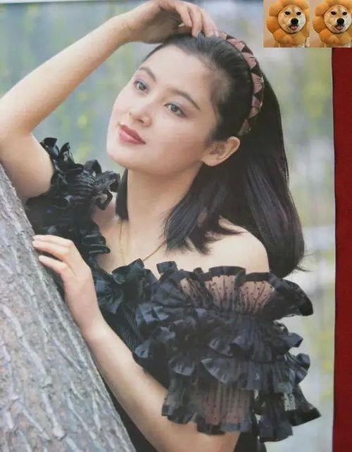 女明星挂历