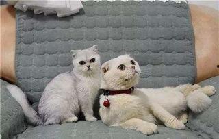 刘二豆与娱乐吃瓜君,揭秘娱乐圈背后的故事